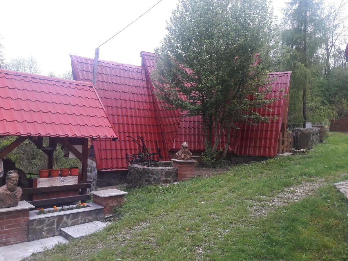 فندق Casa Daos Nucşoara المظهر الخارجي الصورة